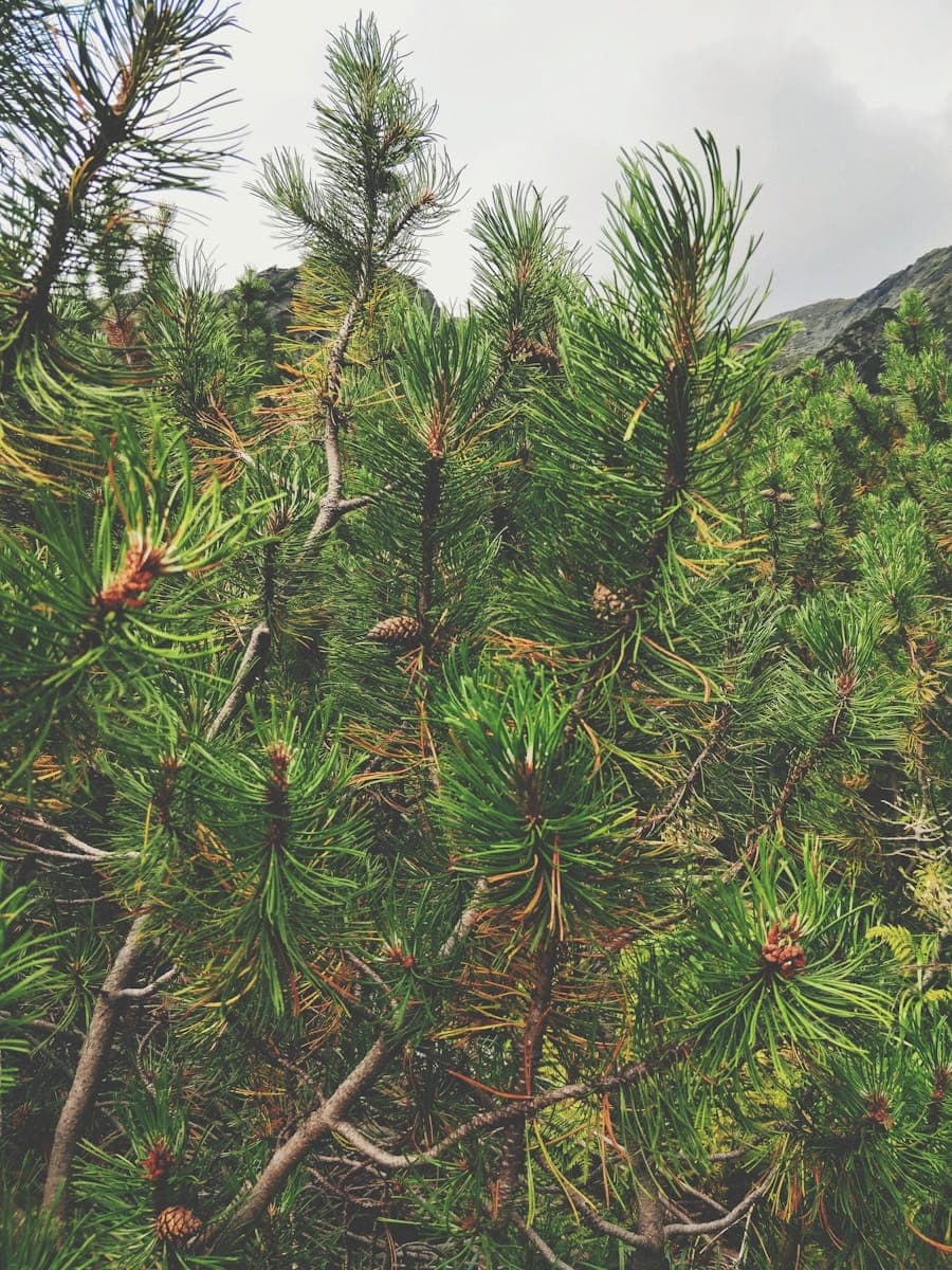 Content Marketing 2.0: Creating Evergreen Assets Year-Round 1 abcdhe 4