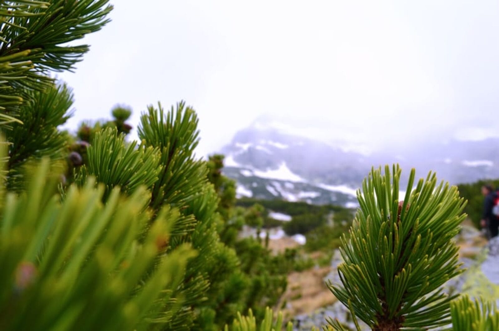 Photo "Content Marketing 20: Creating Evergreen Assets Year-Round"