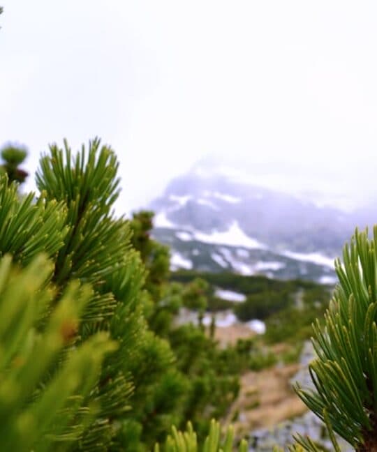 Blog 42 Photo "Content Marketing 20: Creating Evergreen Assets Year-Round"