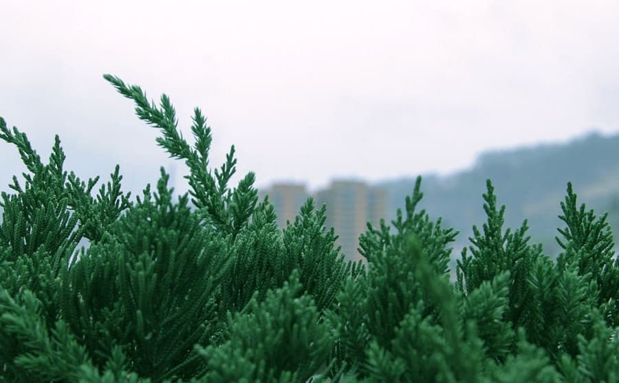 Content Marketing 2.0: Creating Evergreen Assets Year-Round 2 image 9