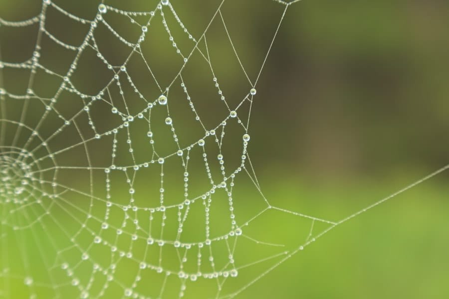 core web vitals field data
