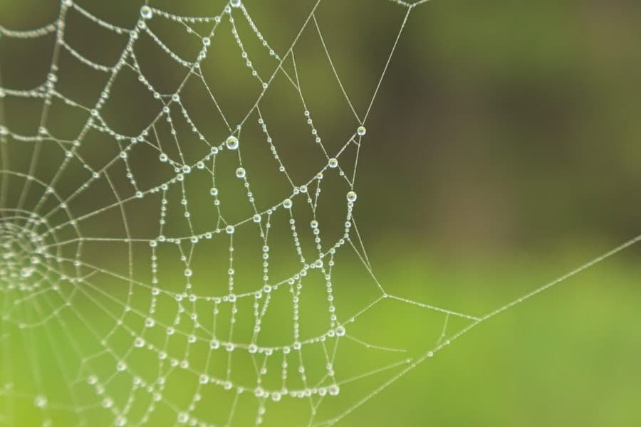 Field Data First: Real‑User Monitoring for Core Web Vitals 1 core web vitals field data