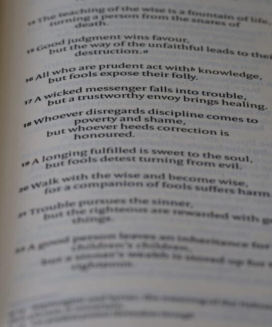 Photo ai overview citations