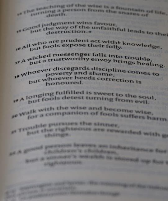 Blog 26 Photo ai overview citations