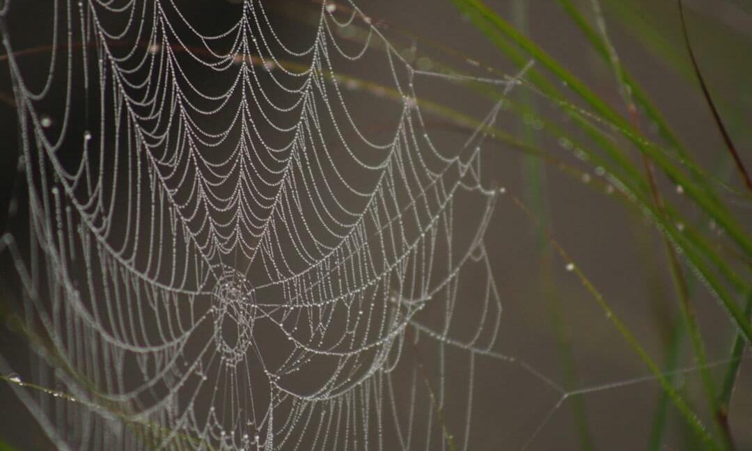 Photo core web vitals