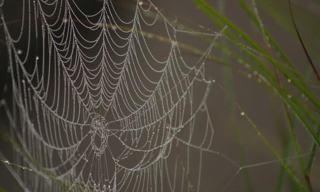 Blog 31 Photo core web vitals