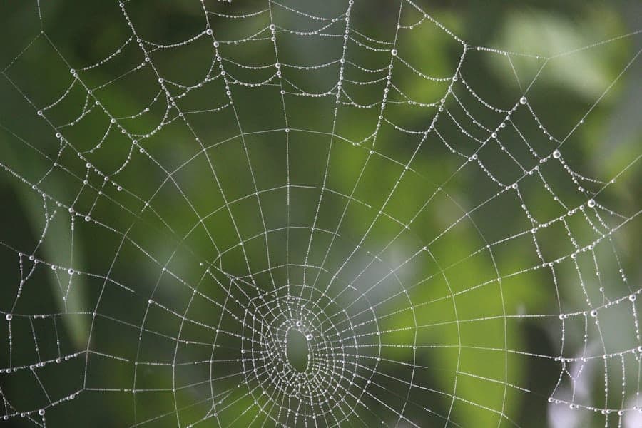 Field Data First: Real‑User Monitoring for Core Web Vitals 2 Photo core web vitals field data