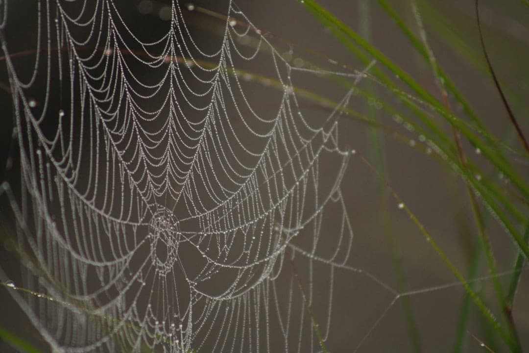 Photo core web vitals