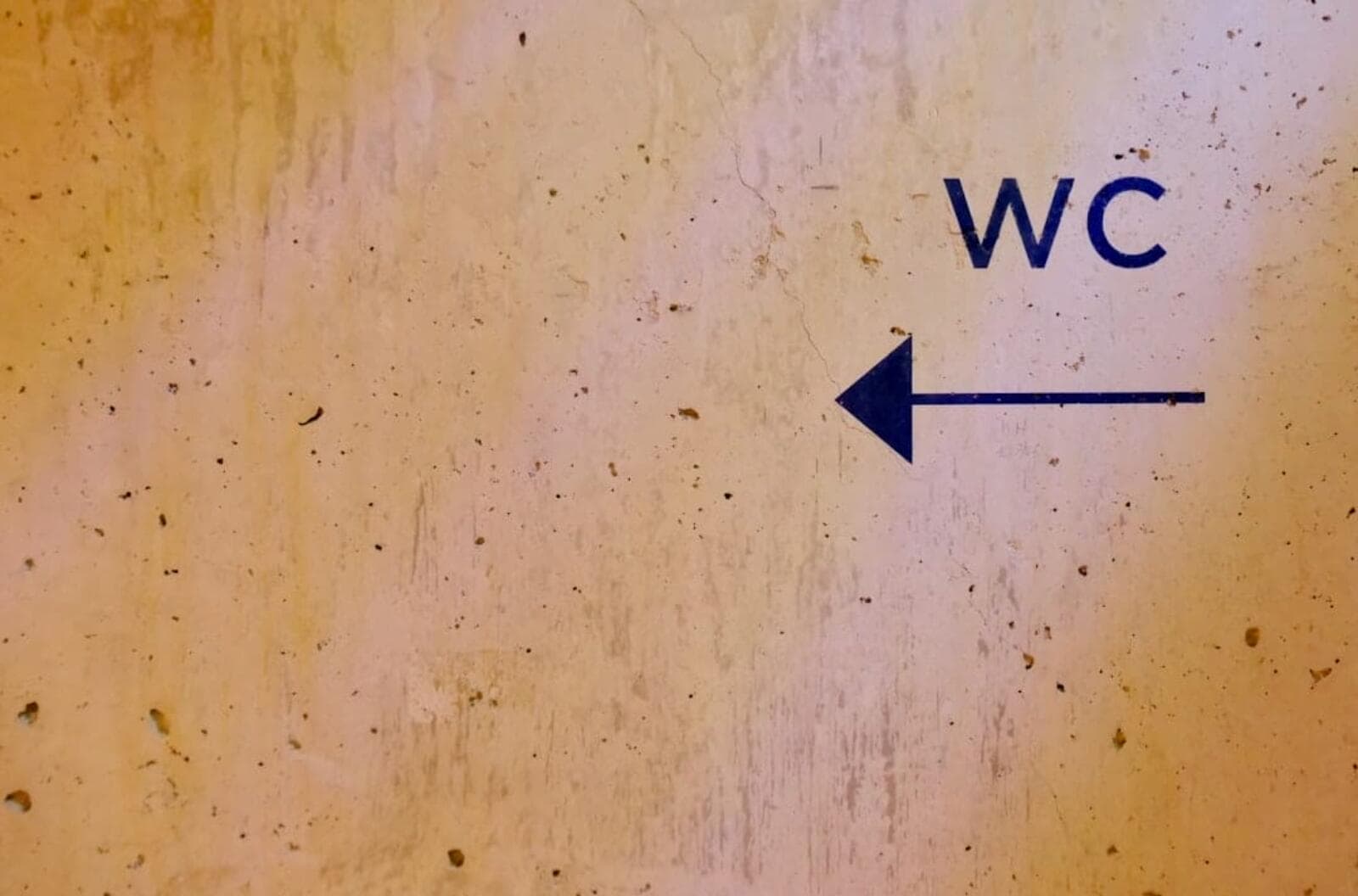 Photo shopify vs woocommerce